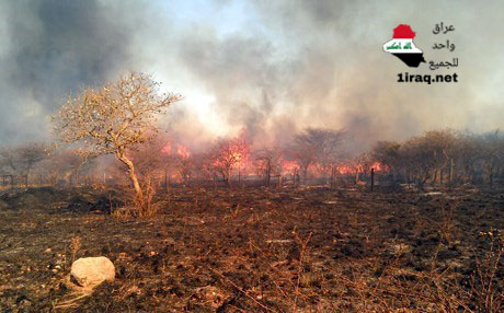 مصرع مواطنَين وإعلان الحداد في حلبجة بعد تمدد النيران إلى ست قرى